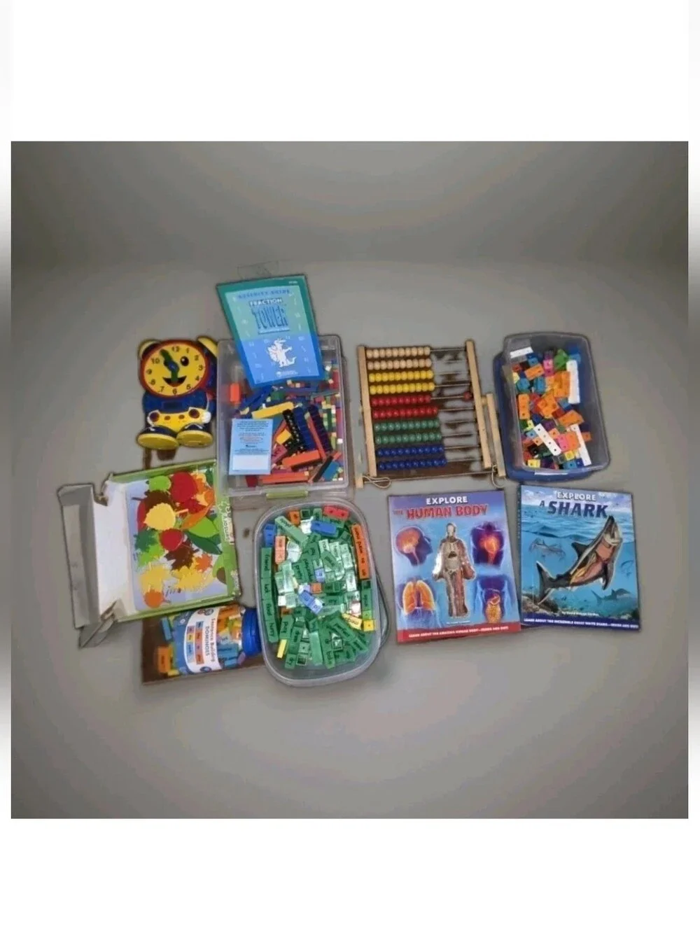 Homeschooling Manipulative Learning Lot